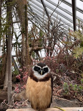 伊豆シャボテン動物公園に投稿された画像（2024/2/20）