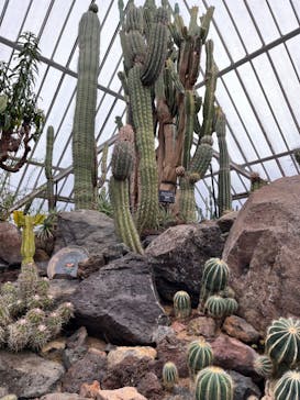 伊豆シャボテン動物公園に投稿された画像（2024/2/20）