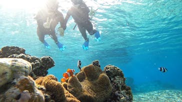 オースリーシュノーケル宮古島に投稿された画像（2024/2/20）