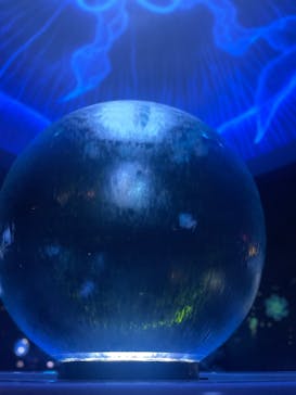 新江ノ島水族館に投稿された画像（2024/2/20）