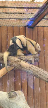 神戸どうぶつ王国に投稿された画像（2023/12/29）