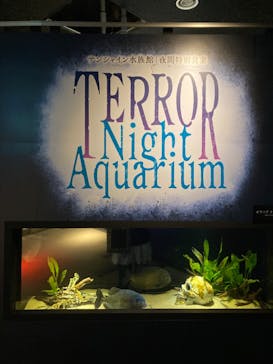 サンシャイン水族館に投稿された画像（2024/2/20）