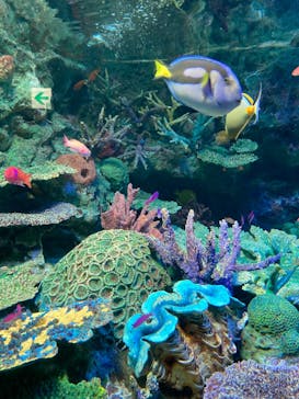 サンシャイン水族館に投稿された画像（2024/2/20）