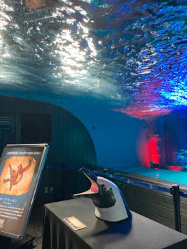 サンシャイン水族館に投稿された画像（2024/2/20）