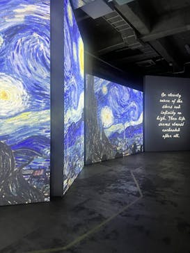 ゴッホ・アライブに投稿された画像（2024/2/20）