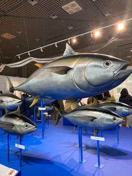 特別展「和食 ～日本の自然、人々の知恵～」に投稿された画像（2024/2/20）