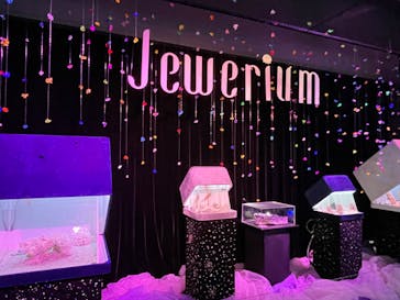 新江ノ島水族館に投稿された画像（2024/2/20）