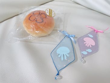 新江ノ島水族館に投稿された画像（2024/2/20）