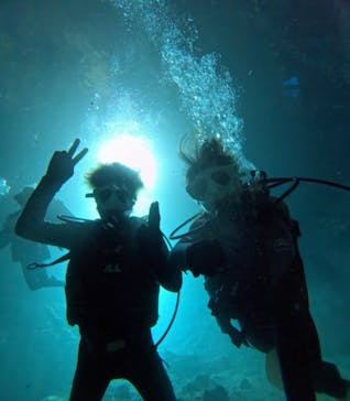 青の洞窟専門店　沖縄ダイビングショップ和に投稿された画像（2024/2/20）