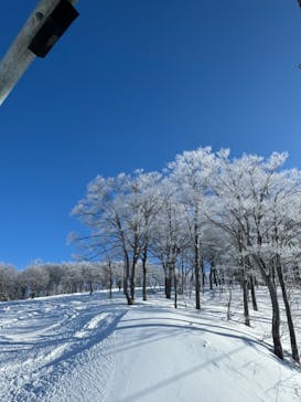 スキージャム勝山に投稿された画像（2024/2/20）