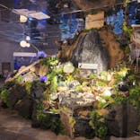 NARA KINGYO MUSEUMに投稿された画像（2024/2/19）