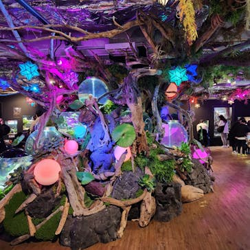 NARA KINGYO MUSEUMに投稿された画像（2024/2/18）