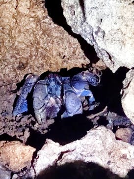 宮古島マリン SUGAR3（シュガースリー）に投稿された画像（2024/2/20）