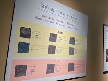 特別展「和食 ～日本の自然、人々の知恵～」に投稿された画像（2024/2/20）