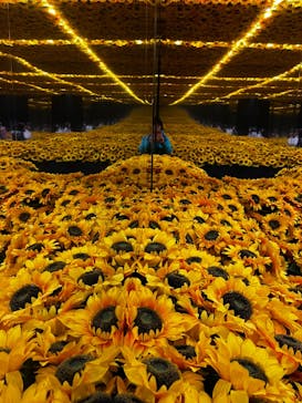 ゴッホ・アライブに投稿された画像（2024/2/20）