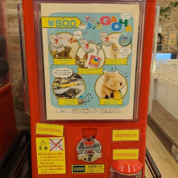 アニタッチ MARK IS 静岡に投稿された画像（2024/2/20）