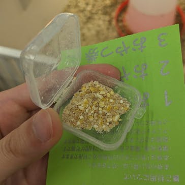 アニタッチ MARK IS 静岡に投稿された画像（2024/2/20）