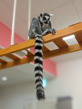 アニタッチ MARK IS 静岡に投稿された画像（2024/2/20）