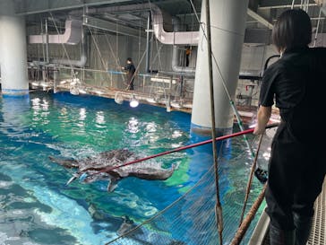 マクセル アクアパーク品川に投稿された画像（2024/2/20）