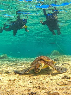 宮古島 ADVENTURE PiPi（ミヤコジマ アドベンチャー ピピ）に投稿された画像（2024/2/21）