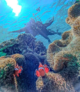 宮古島 ADVENTURE PiPi（ミヤコジマ アドベンチャー ピピ）に投稿された画像（2024/2/21）