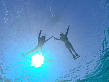 宮古島 ADVENTURE PiPi（ミヤコジマ アドベンチャー ピピ）に投稿された画像（2024/2/21）