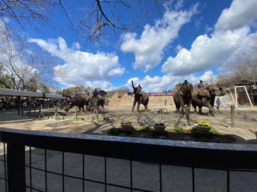 ANIMAL WONDER REZOURT 市原ぞうの国・サユリワールドに投稿された画像（2024/2/21）