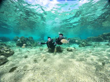 武藤潜水に投稿された画像（2024/2/21）