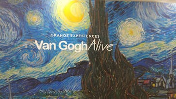 ゴッホ・アライブに投稿された画像（2024/2/21）