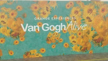 ゴッホ・アライブに投稿された画像（2024/2/21）