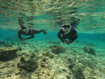 武藤潜水に投稿された画像（2024/2/21）