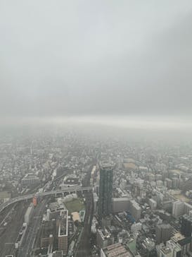 ハルカス300(展望台)に投稿された画像（2024/2/21）