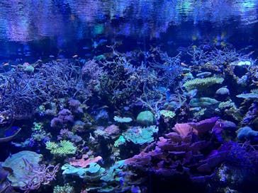 名古屋港水族館に投稿された画像（2024/2/21）