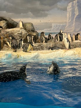 名古屋港水族館に投稿された画像（2024/2/21）