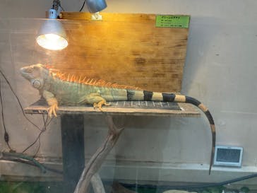 仙台うみの杜水族館に投稿された画像（2024/2/21）