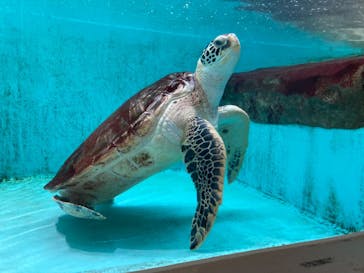 仙台うみの杜水族館に投稿された画像（2024/2/21）