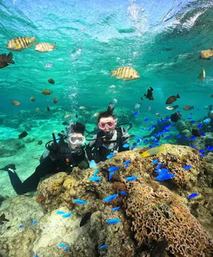 武藤潜水に投稿された画像（2024/2/21）