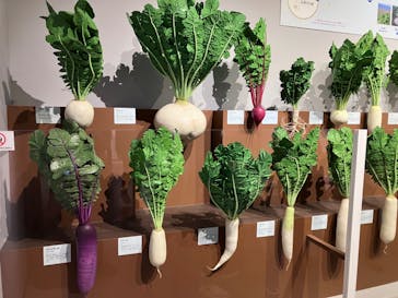 特別展「和食 ～日本の自然、人々の知恵～」に投稿された画像（2024/2/21）