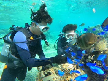 武藤潜水に投稿された画像（2024/2/21）