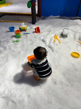 湘南あそびマーレに投稿された画像（2024/2/21）