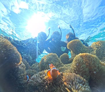 宮古島 ADVENTURE PiPi（ミヤコジマ アドベンチャー ピピ）に投稿された画像（2024/2/21）