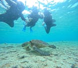 宮古島 ADVENTURE PiPi（ミヤコジマ アドベンチャー ピピ）に投稿された画像（2024/2/21）