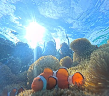 宮古島 ADVENTURE PiPi（ミヤコジマ アドベンチャー ピピ）に投稿された画像（2024/2/21）