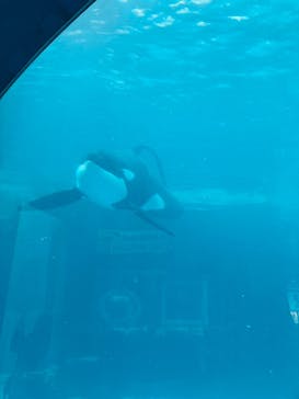 名古屋港水族館に投稿された画像（2024/2/21）