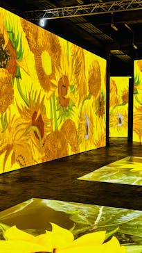 ゴッホ・アライブに投稿された画像（2024/2/21）