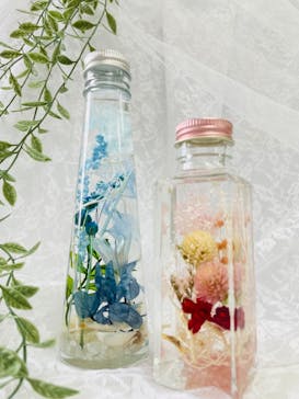 ずこうしつ〜sugamo〜に投稿された画像（2024/2/21）