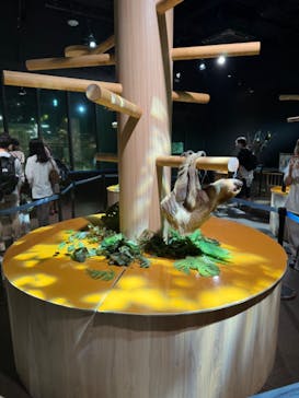 DMMかりゆし水族館に投稿された画像（2024/2/18）