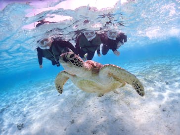 CHAMP TOUR　宮古島に投稿された画像（2024/2/21）