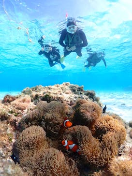 CHAMP TOUR　宮古島に投稿された画像（2024/2/21）