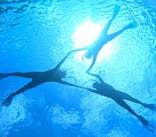 宮古島 ADVENTURE PiPi（ミヤコジマ アドベンチャー ピピ）に投稿された画像（2024/2/21）